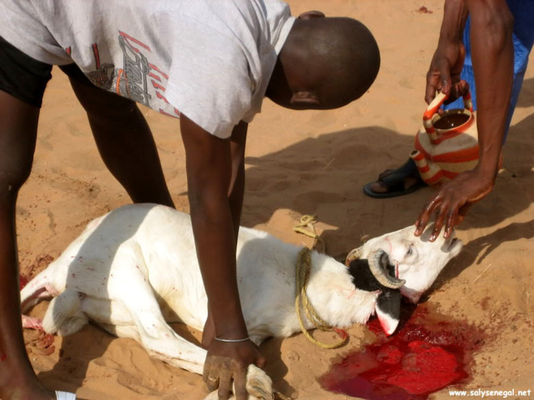 La Tabaski célébrée le 26 octobre (Commission)