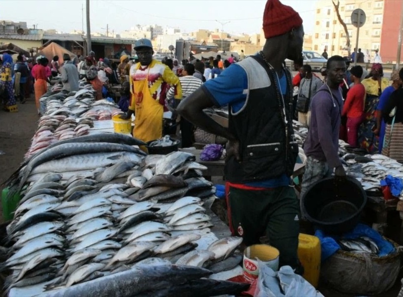 Inondation au marché Central au poisson de Pikine : le Collectif national des mareyeurs réclame des mesures urgences Inondation au marché Central au poisson de Pikine : le Collectif national des mareyeurs réclame des mesures urgences