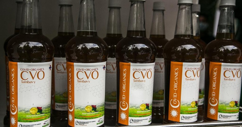 Covid19 : le traitement à base d’artémisia validé par le comité scientifique sénégalais Covid19 : le traitement à base d’artémisia validé par le comité scientifique sénégalais