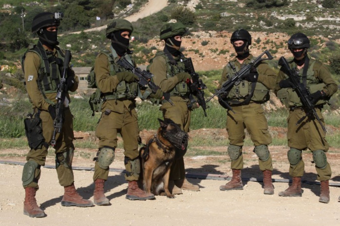 L'armée israélienne tire sur quatre personnes menaçant sa frontière syrienne, selon un communiqué