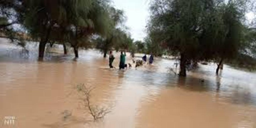​Inondations à Linguère : les populations du village de Nginth perdent leurs semences et bien d'autres biens