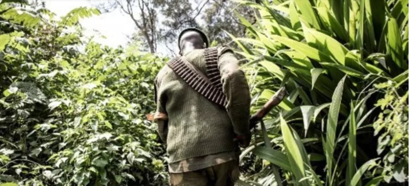 RD Congo: le militaire fugitif, responsable de la tuerie de Sange, appréhendé RD Congo: le militaire fugitif, responsable de la tuerie de Sange, appréhendé