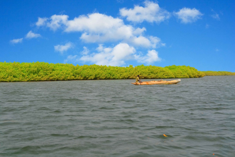 Leur pirogue tombe en panne, trois commerçants se jettent dans les eaux et meurent noyés Leur pirogue tombe en panne, trois commerçants se jettent dans les eaux et meurent noyés