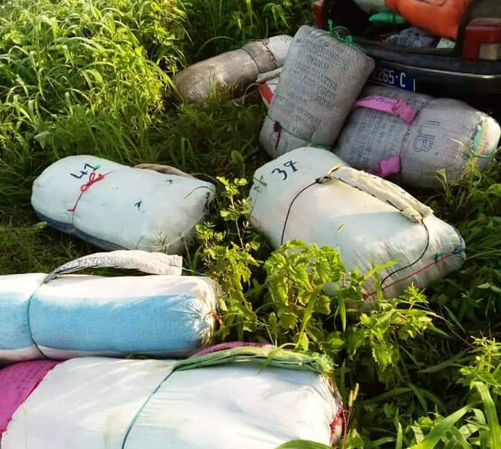 Fatick: 456 kilogrammes de chanvre saisis en 24 heures par les douaniers 