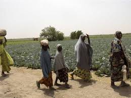 Nigeria: en patrouille avec les Agro Rangers