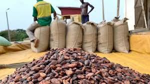 Le Ghana menacé de perdre son rang de numéro deux mondial du cacao