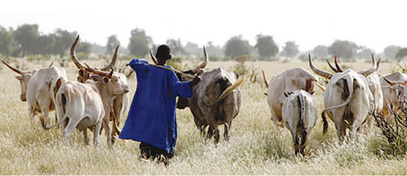 Le Sérère et la lutte traditionnelle: le legs du berger Le Sérère et la lutte traditionnelle: le legs du berger