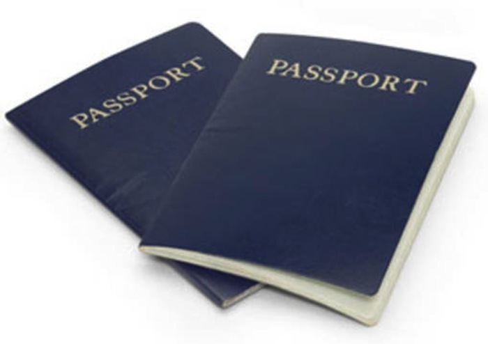 Assemblée nationale : les épouses des députés bénéficient de passeports diplomatiques