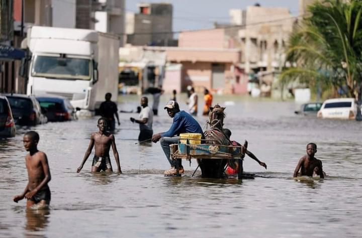 #Inondations - 624 millions distribués via Cash Transfer à 3816 ménages à Dakar et Saint-Louis