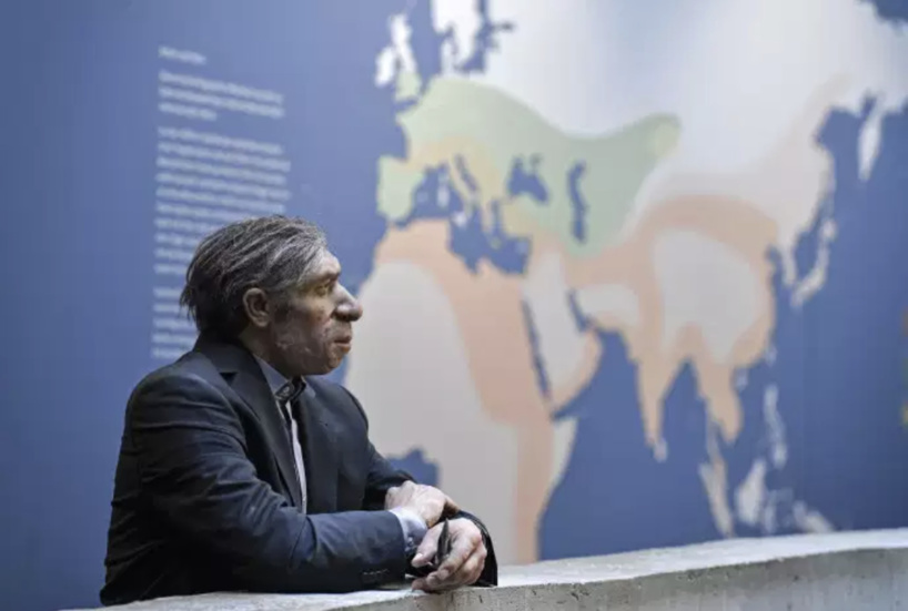 Covid-19 : un fragment d’ADN hérité de Néandertal favorise les formes graves de la maladie