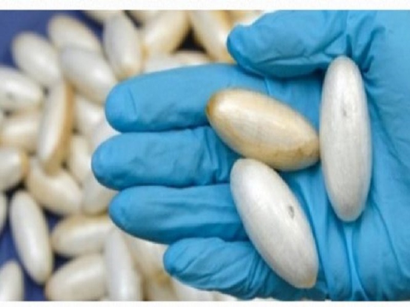 Trafic de cocaïne dans les boîtes de nuit aux Almadies : un Sénégalais et trois Nigérians arrêtés