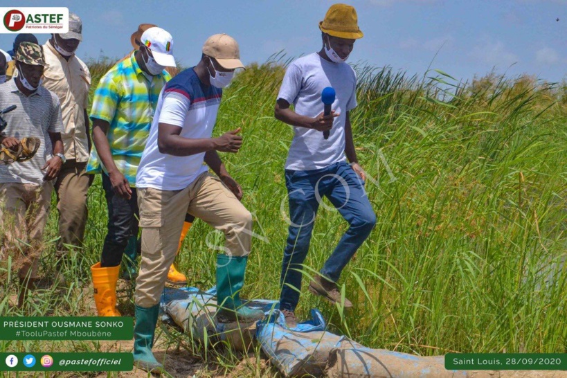 Ousmane Sonko appelle les jeunes de Pastef à se rendre à Xelkoom participer aux récoltes des champs de Serigne Saliou