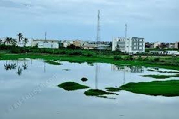 Assainissement et éclairage public: les habitants de la Cité Technopole de Pikine appellent à l'aide Assainissement et éclairage public: les habitants de la Cité Technopole de Pikine appellent à l'aide