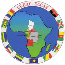 La CEEAC exige un cessez-le-feu en Centrafrique