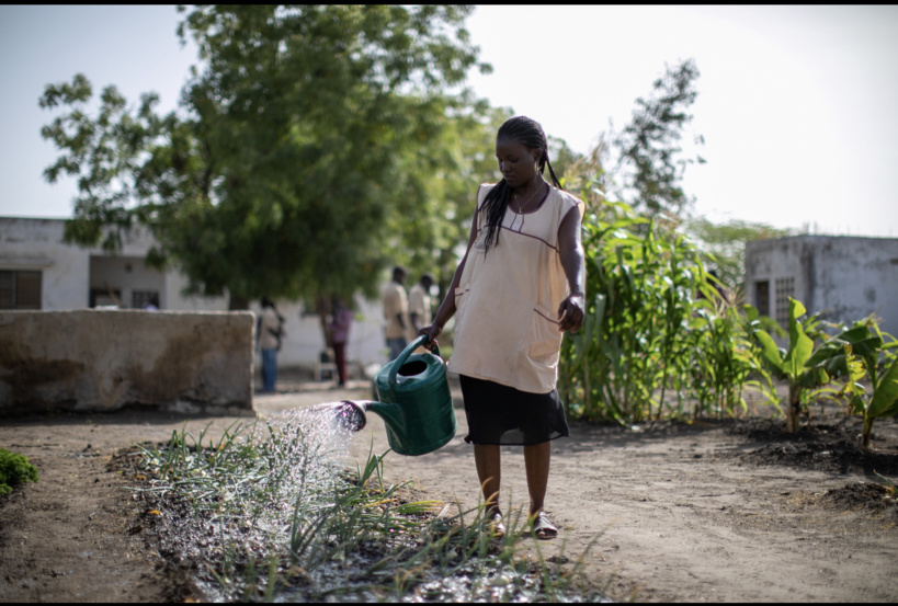 La Mastercard Foundation et MEDA s’associent pour renforcer la résilience des agro-entreprises au Sénégal (Publireportage) La Mastercard Foundation et MEDA s’associent pour renforcer la résilience des agro-entreprises au Sénégal (Publireportage)