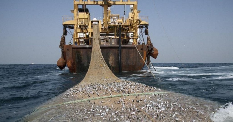A bord de leurs bateaux, des Chinois pêchent 8 corps aux larges des côtes dakaroises A bord de leurs bateaux, des Chinois pêchent 8 corps aux larges des côtes dakaroises