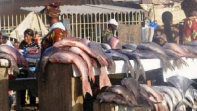 Marché au poisson de Pikine: les pensionnaires réclament un audit de la gestion du Directeur général