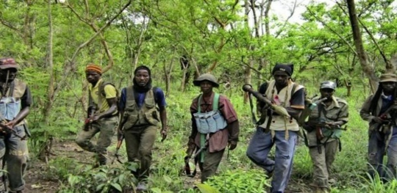 Ziguinchor: trois (3) jeunes enlevés dans la forêt de Bilasse Ziguinchor: trois (3) jeunes enlevés dans la forêt de Bilasse
