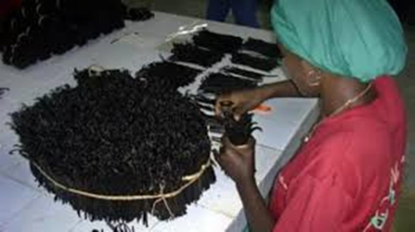 Madagascar: le prix plancher de 250 dollars le kilo de vanille continue de faire polémique Madagascar: le prix plancher de 250 dollars le kilo de vanille continue de faire polémique