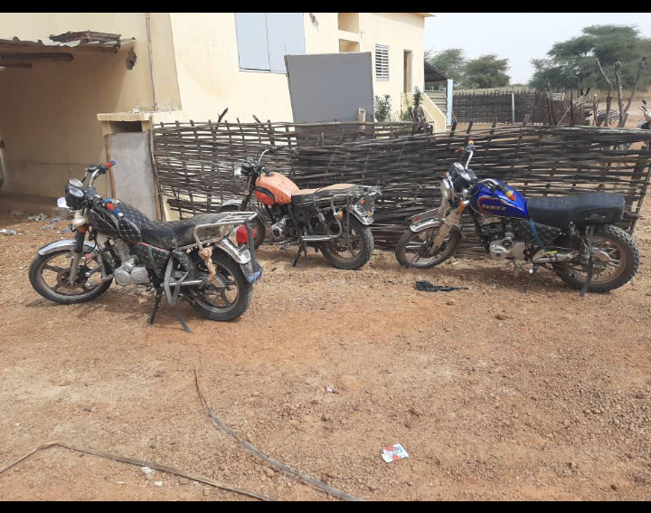 Ourossogui: 200kg de chanvre indien et trois (3) motos saisis 