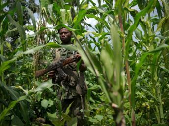 Un rebelle maï-maï près du village de Shasha, au sud de Sake, le 26 novembre 2012. AFP PHOTO/PHIL MOORE
