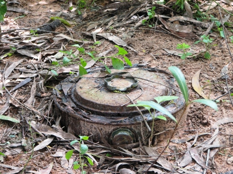 Casamance : Un nouveau mort, tué par une mine anti-personnelle