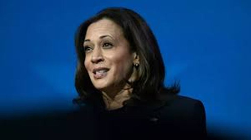 Kamala Harris vice-présidente des États-Unis : l'ascension d'une pionnière Kamala Harris vice-présidente des États-Unis : l'ascension d'une pionnière
