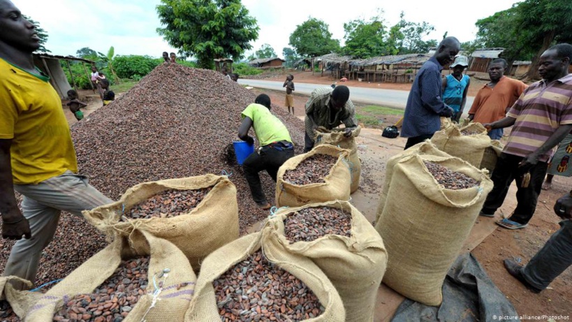 Cacao durable: la Côte d'Ivoire doit s'adapter aux nouvelles exigences de l'UE Cacao durable: la Côte d'Ivoire doit s'adapter aux nouvelles exigences de l'UE