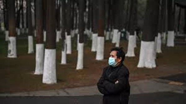 Chine: les experts de l'OMS vont-ils pouvoir rencontrer les familles des victimes du coronavirus?