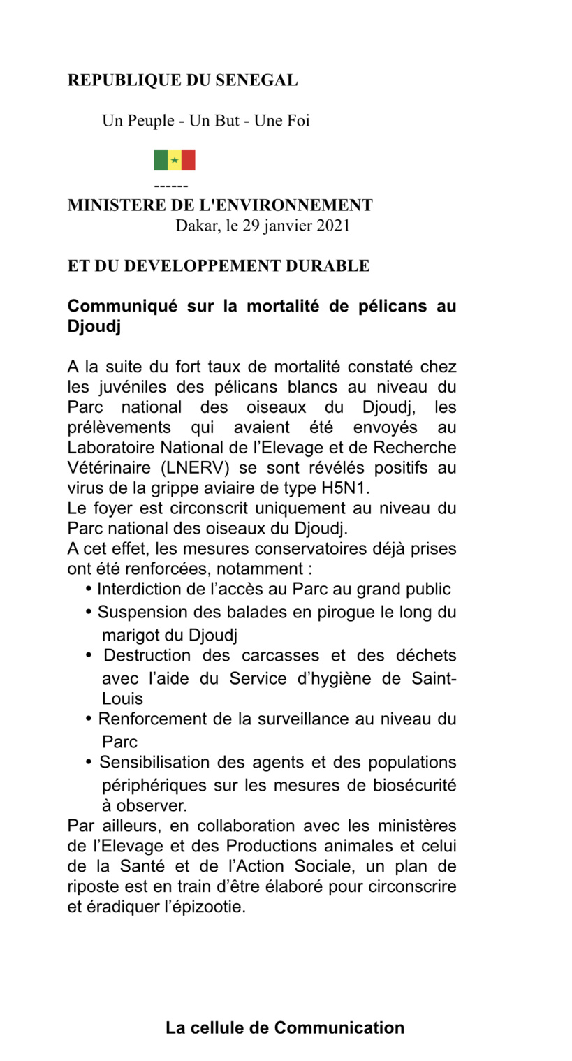 Mort des 750 pélicans au Parc de Dioudj: la grippe aviaire en est la cause Mort des 750 pélicans au Parc de Dioudj: la grippe aviaire en est la cause