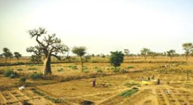 Litige foncier: les populations de Soune Serrer acculent l'AIBD et menacent Litige foncier: les populations de Soune Serrer acculent l'AIBD et menacent