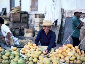 A Madagascar, en juillet 2008. Les agriculteurs malgaches réfutent les accusations des Réunionnais. © Yosef Hadar / World Bank