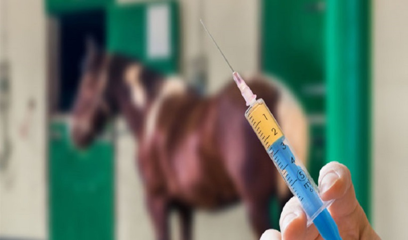 Vaccination du cheptel: une rupture des stocks à Thiès Vaccination du cheptel: une rupture des stocks à Thiès
