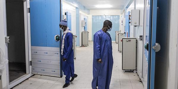 Vaccins Covid-19: Saint-Louis reçoit 6 343 doses