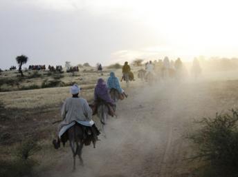 Les alentours de la ville de Kutum, au nord du Darfour. Photo : L. Correau / RFI