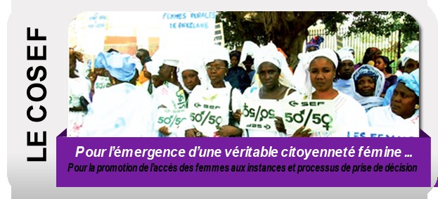 Le Conseil Sénégalais des femmes dénonce le non respect de la parité au CESE