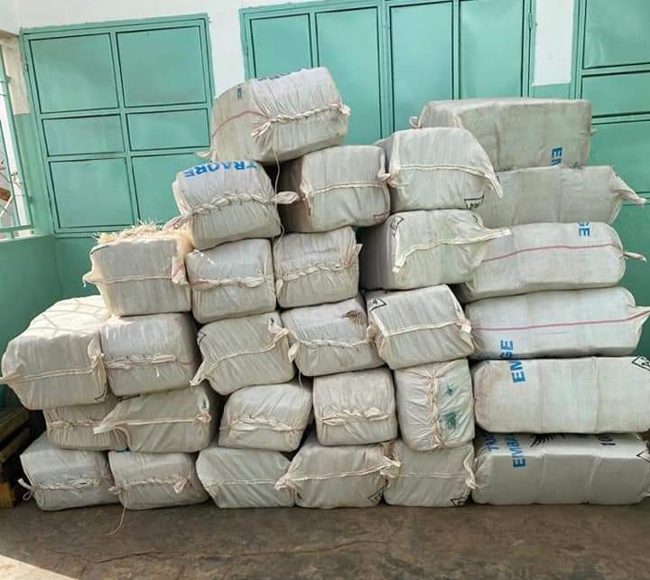 Koungheul: du chanvre indien d'une valeur de plus  de 100 millions FCFA saisis