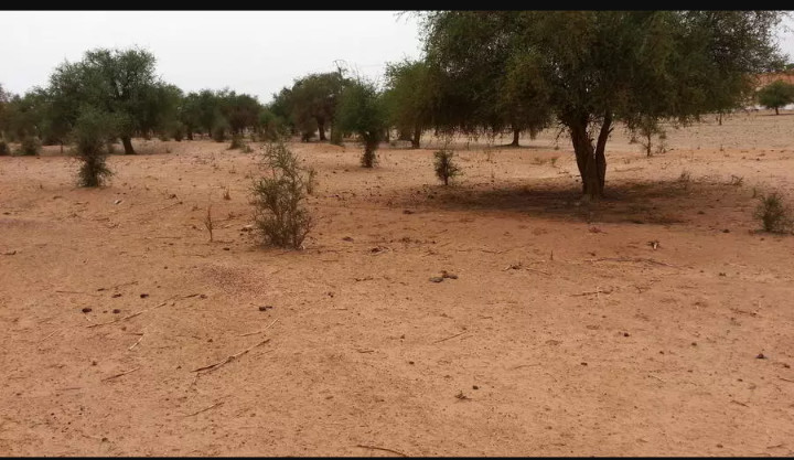 Niger: conseil national de sécurité extraordinaire après l'attaque de Tillabéry