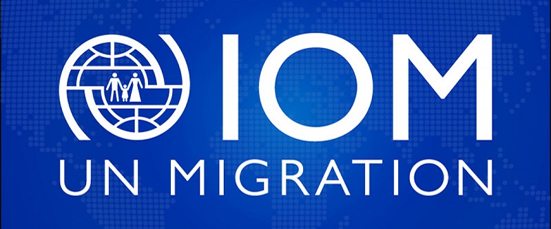 Inégalités salariales : des travailleurs de l’OIM Sénégal, en colère contre la direction régionale