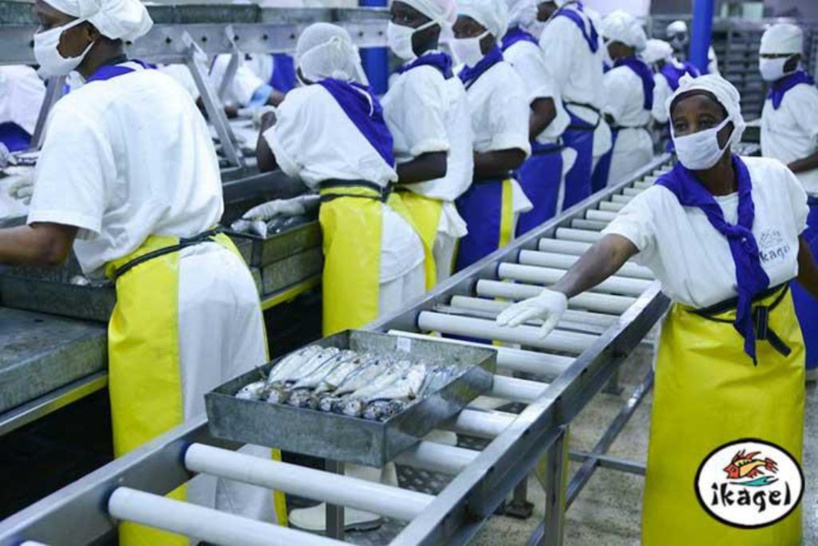 Mbour : les 75 travailleurs licenciés par l’entreprise Ikagel menacent de bloquer le fonctionnement de l’usine Mbour : les 75 travailleurs licenciés par l’entreprise Ikagel menacent de bloquer le fonctionnement de l’usine