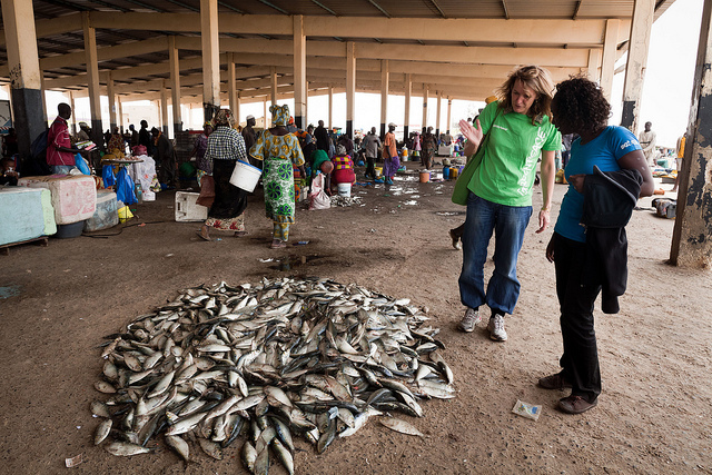 Pêche illégale: Greenpeace encourage et invite l’Etat du Sénégal à se doter de moyens pour une meilleure surveillance de ses eaux