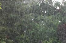Hivernage et une bonne saison des pluies annoncée Ziguinchor: les producteurs invités à se tenir prêts