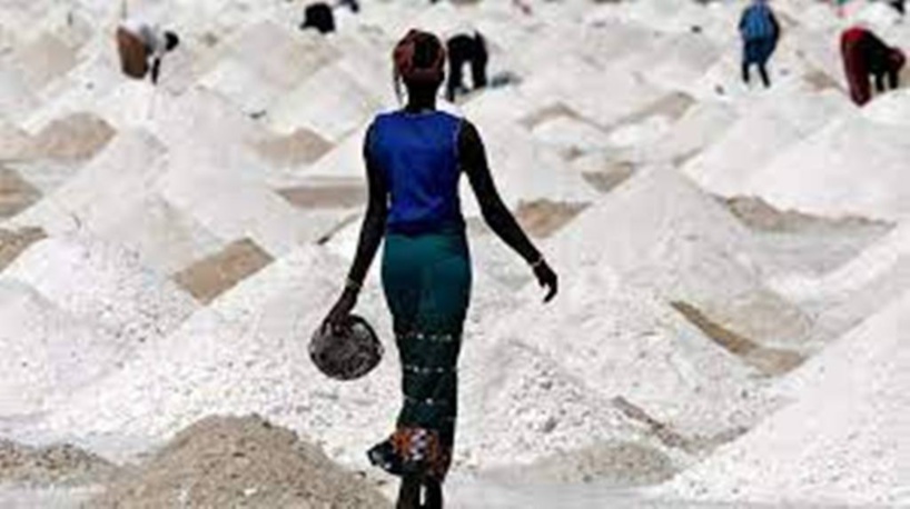 “La Francophonie avec Elles” : L’OIF au service de l’entreprenariat des femmes “La Francophonie avec Elles” : L’OIF au service de l’entreprenariat des femmes