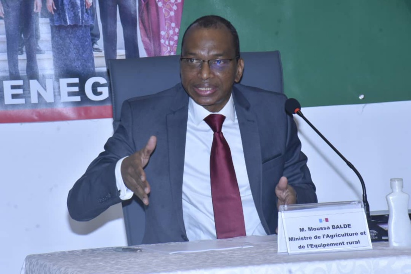 Grève des techniciens du ministère de l'Agriculture: Moussa Baldé conteste la légitimité de leur syndicat Grève des techniciens du ministère de l'Agriculture: Moussa Baldé conteste la légitimité de leur syndicat