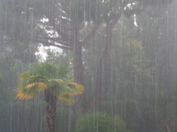 Hivernage-Podor: Péthé fortement arrosée