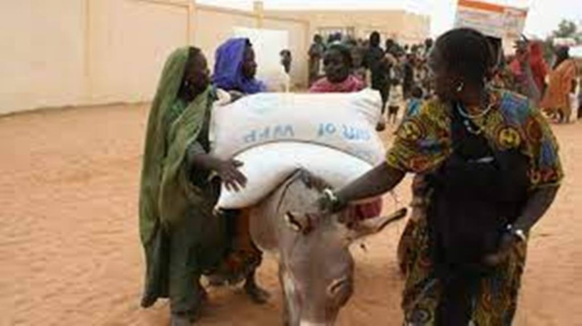 Mali: polémique autour de la réforme territoriale dans le nord du pays