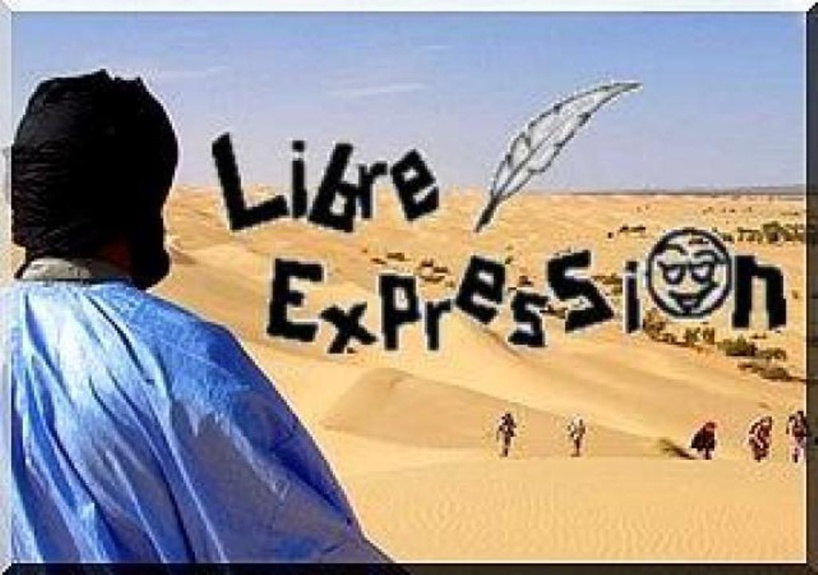 DDR, l’accélération de la création d’une armée de rebelles, aux frais du PEUPLE malien. DDR, l’accélération de la création d’une armée de rebelles, aux frais du PEUPLE malien.