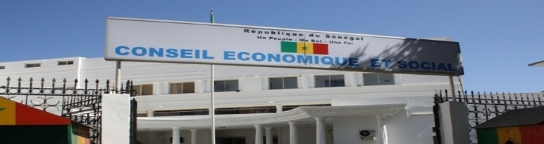 Conseil Economique et Social (CES) : la nébuleuse autour des véhicules qui amène la DGNP à agir