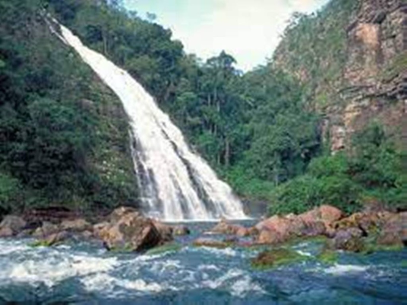 Bolivie: deux laboratoires de fabrication de cocaïne découverts dans un parc naturel Bolivie: deux laboratoires de fabrication de cocaïne découverts dans un parc naturel