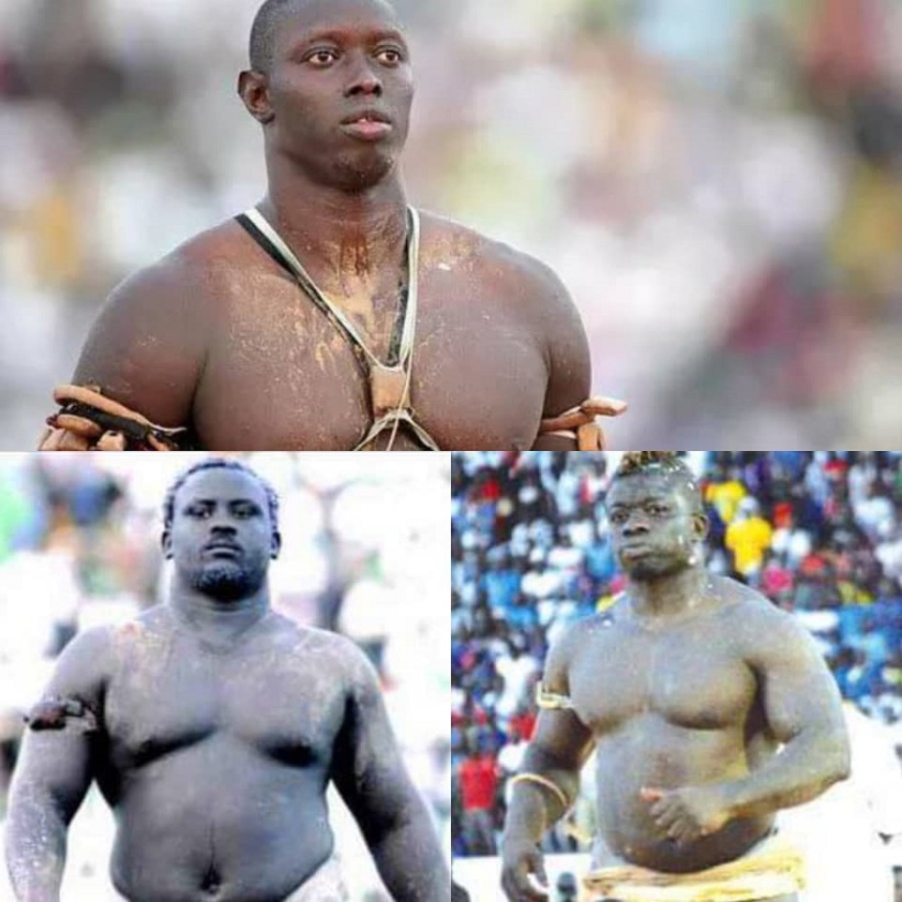 Lutte avec frappe : C’est le bal des revenants Lutte avec frappe : C’est le bal des revenants